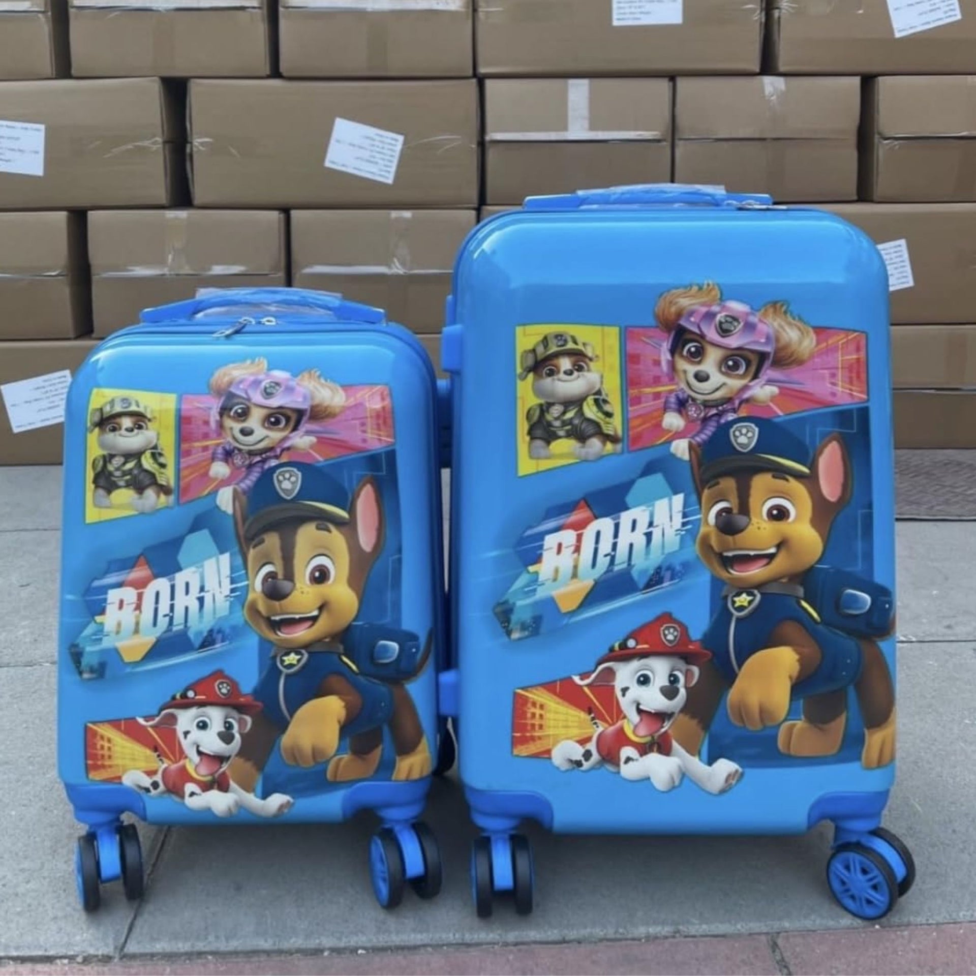 SMILE BABY  Kid's Trolley 360 Rotating Carry On Luggage Wheels Non-Breakable Limited Edition Paw Patrol 16 Inch Inch Kids Rolling Suitcase with 4 Wheel Travel Trolley Bag Case(Sky Blue Paw Patrol)