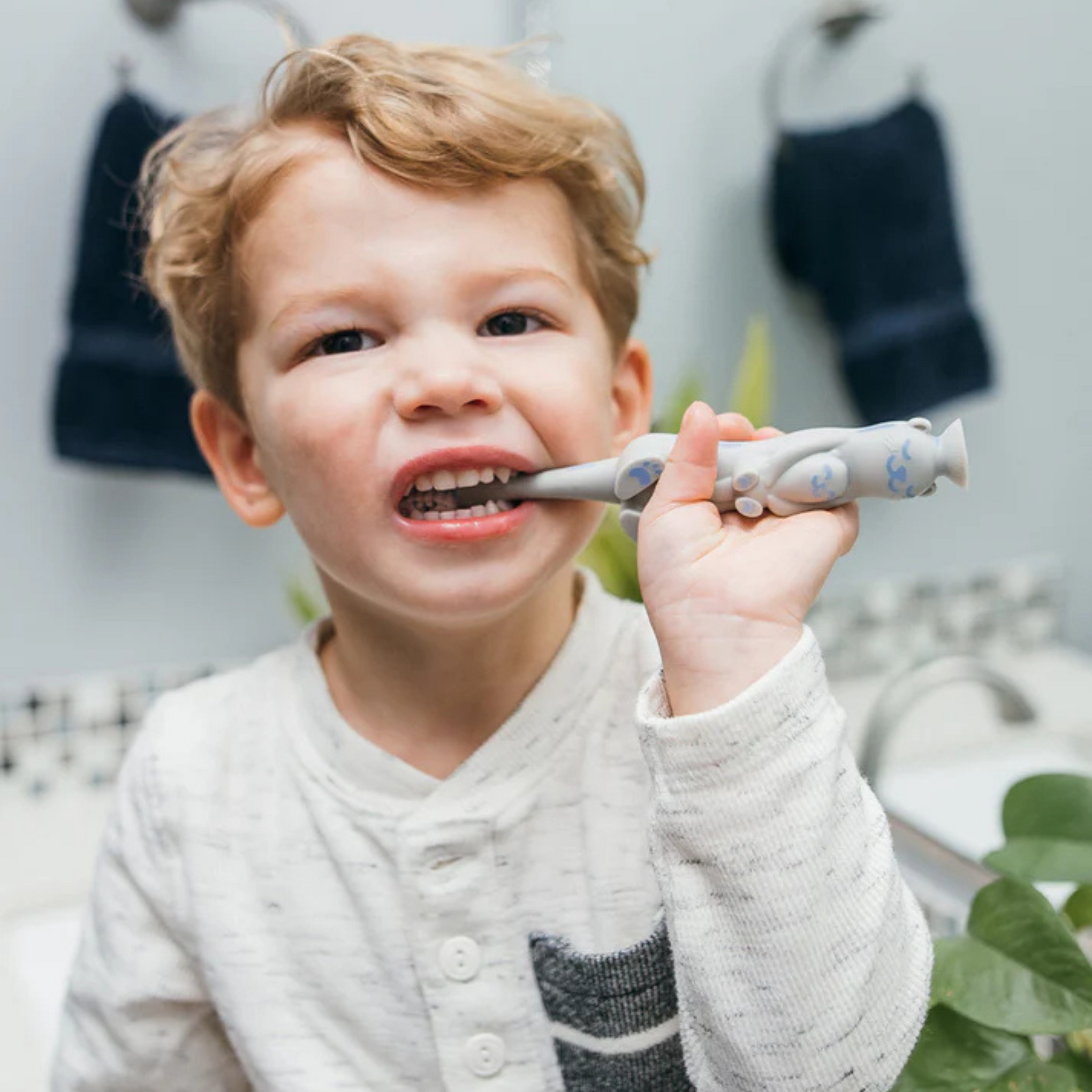 Dr. Brown's Toddler Baby Toothbrush-12 to 48M-Otter